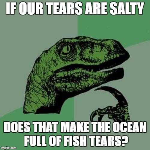 e2/e68d737ad95b.jpg