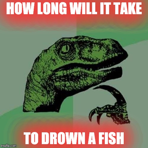 e3/0ee8bcaae98d.jpg