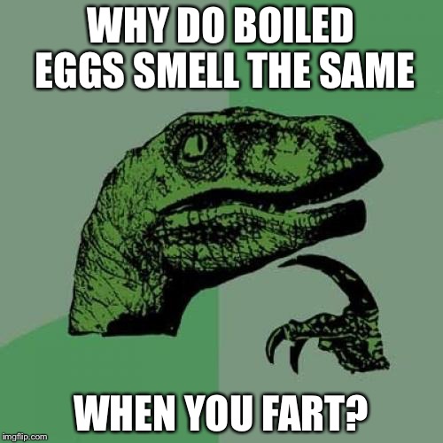 e3/e55b5be5f5c6.jpg
