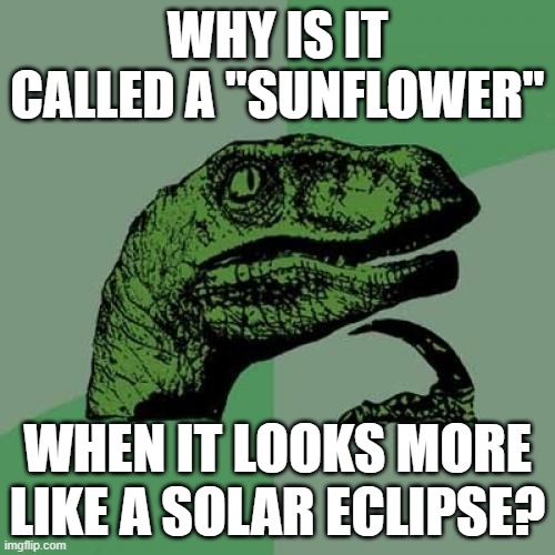 e4/00e99ee40c31.jpg