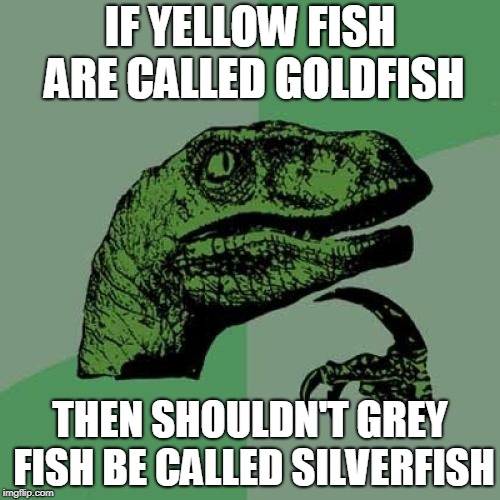 e4/5c69090b8138.jpg