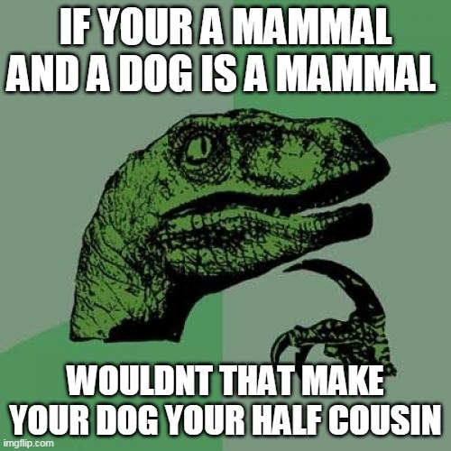 e5/03e0b8dd6456.jpg