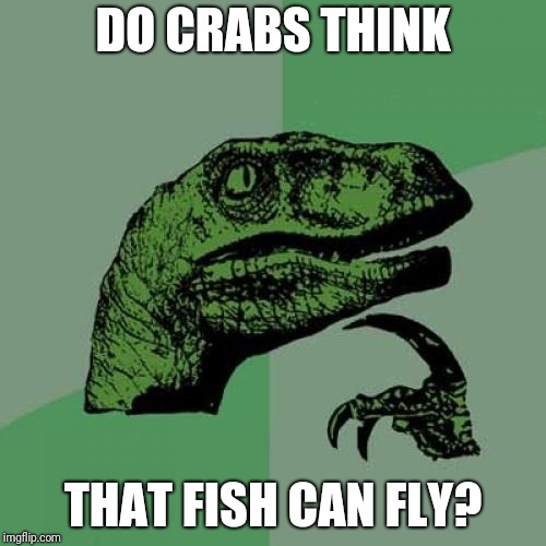 e5/c1fccf99a3b1.jpg