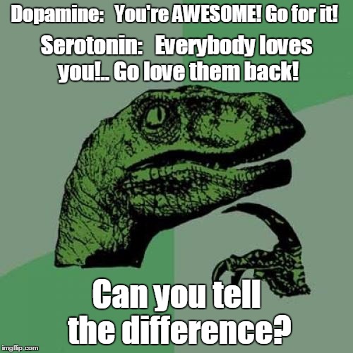 e7/cd22ee2e0fd5.jpg