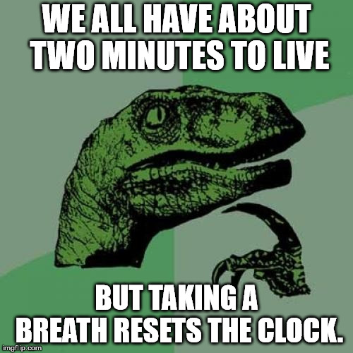 e8/368b4e465069.jpg