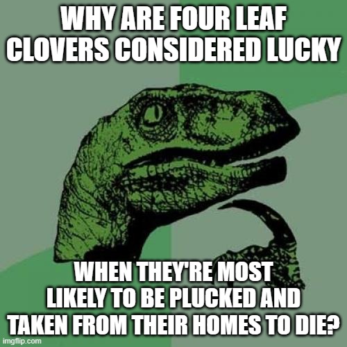 e8/d4a1f50b76b3.jpg