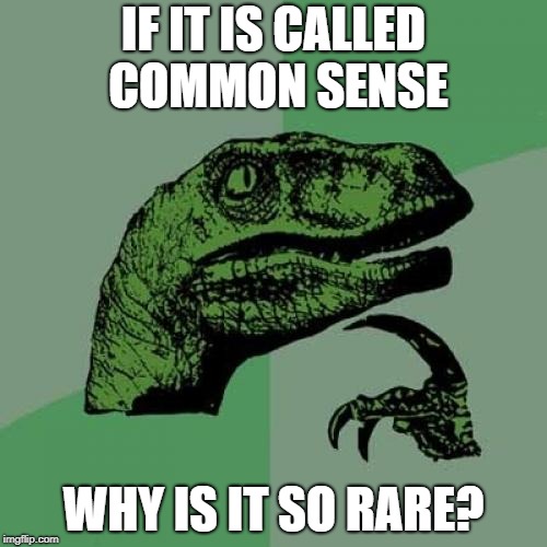 eb/516a42f3e2b8.jpg
