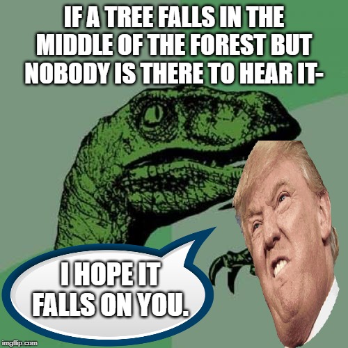 eb/9890186eb713.jpg