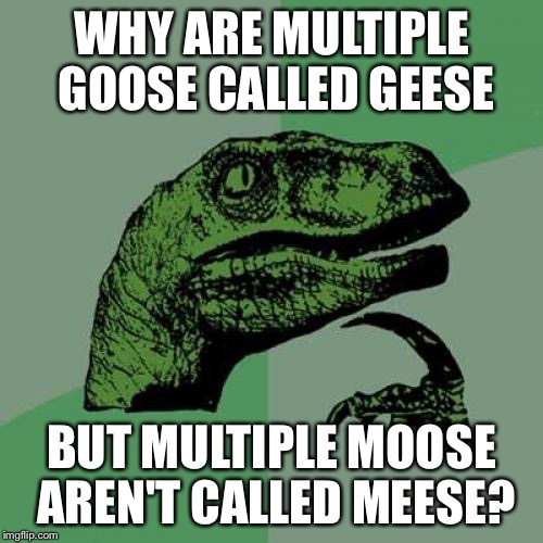 ee/72e97d114590.jpg