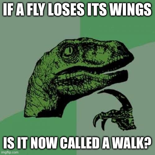 ee/dd5281e7354d.jpg