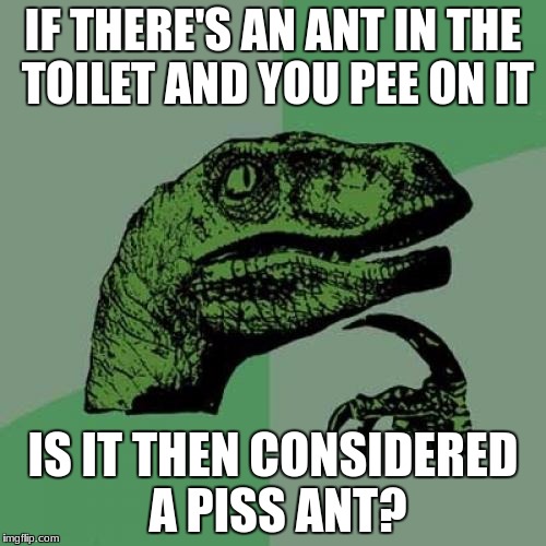 f1/bd87f18a5241.jpg