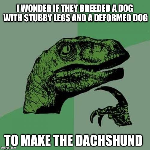 f4/c3f4b169b74e.jpg