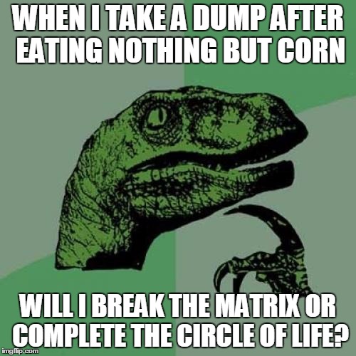 f4/f8e8aeefd78c.jpg