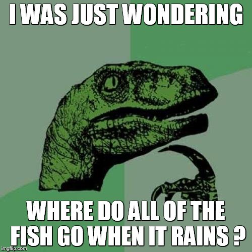 f6/b25066b03c11.jpg