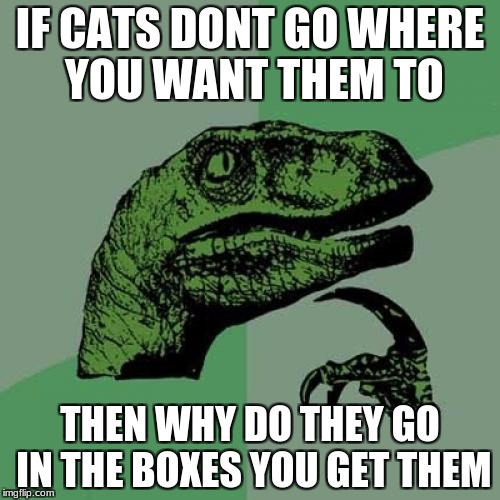 f6/cedccdc9adbd.jpg