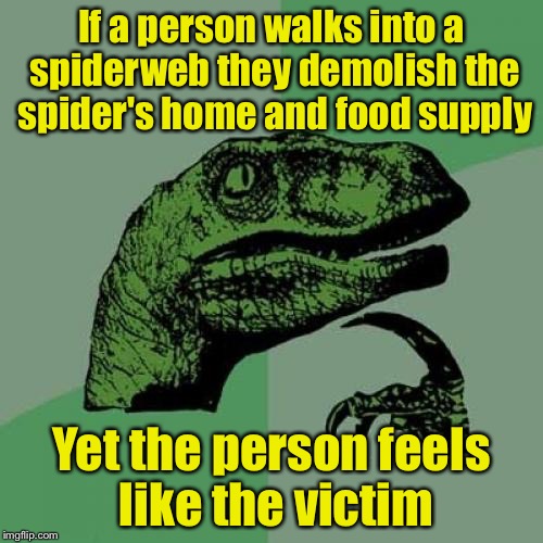 f6/e5e854d09b8e.jpg